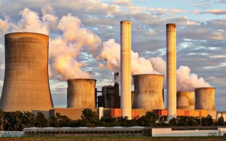 Çevre Kirliliği Sorunları Nelerdir?