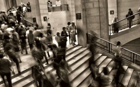 Sosyal Seferberlik Nedir?