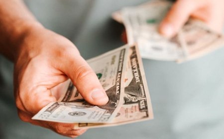 Siyasi Yolsuzluk Nedir?