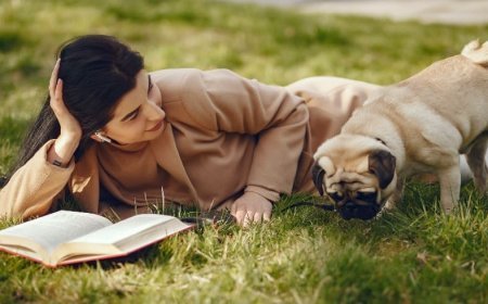 En Çok Kim Yalan Söyler?