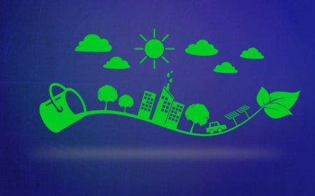 Sosyal Gelişim Neden Önemlidir?