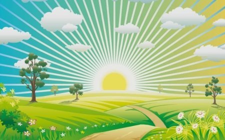 Çevre Sorunları Nelerdir?