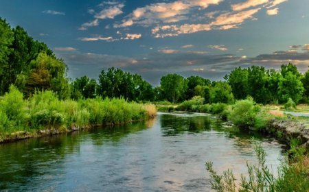 Çevre Sorunları Nasıl Çözülür?