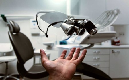 Profesyonel Meslek Grupları