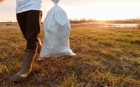 Sosyal Sorumluluk Nedir?