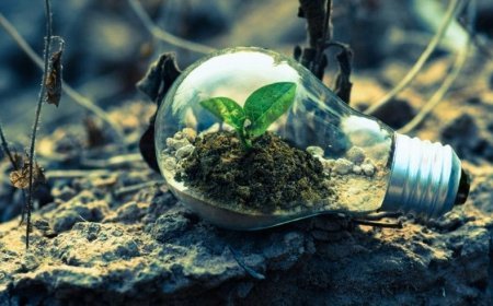 Yenilenebilir Enerji Çevreyi Koruyor mu?