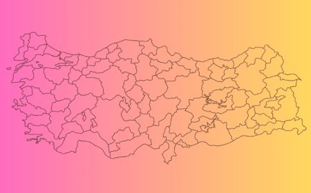 Ege Bölgesi illerinin sorunları