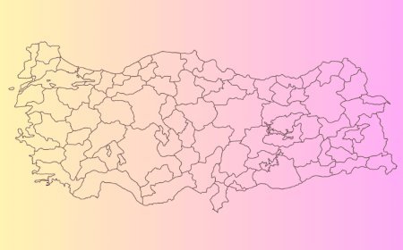 Akdeniz Bölgesi illerinin sorunları