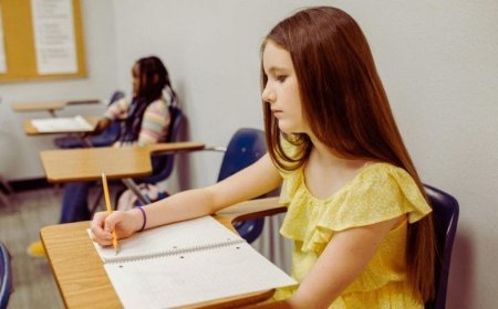 Bir Ülkede Eğitim Yok Edilirse Ne Olur?